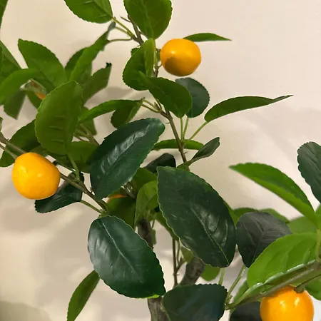 Apartman Split Πανσιόν