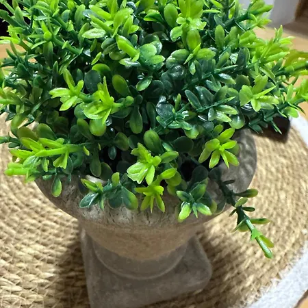 Apartman Split * Σπλιτ