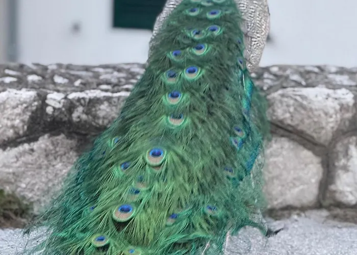 Apartman Split * Split