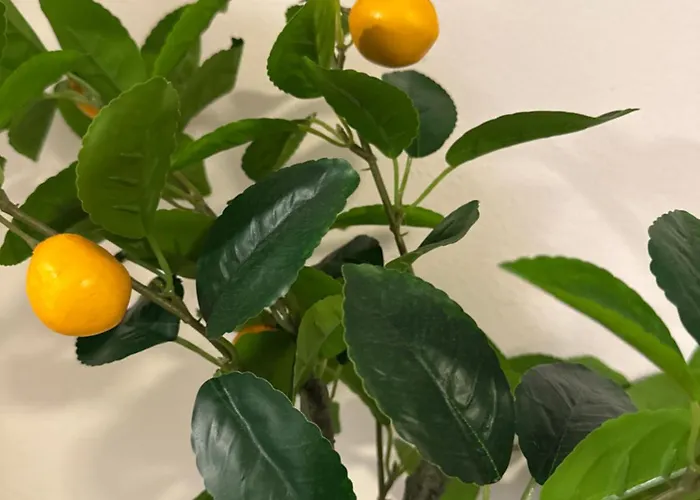 Apartman Split Casa de hóspedes