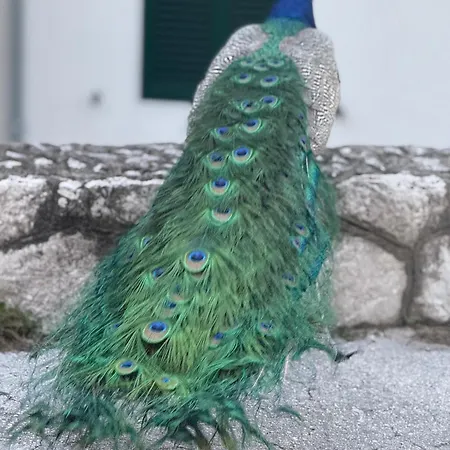 Apartman Split * Split